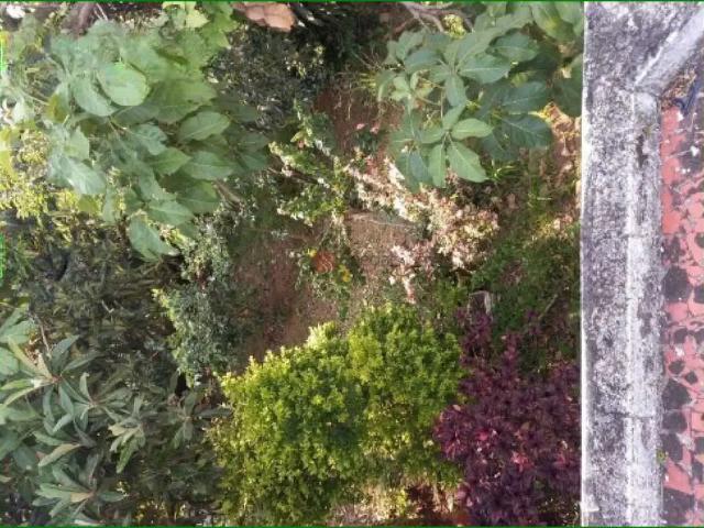 Terreno / Lote para Venda em São Paulo/SP Vila Carrão