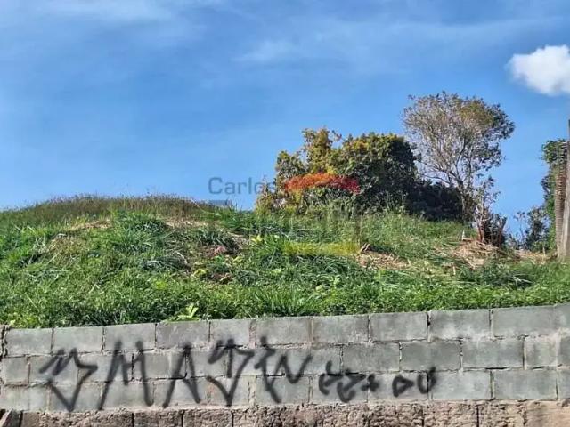 Terreno / Lote para Venda em São Paulo/SP Vila Celeste