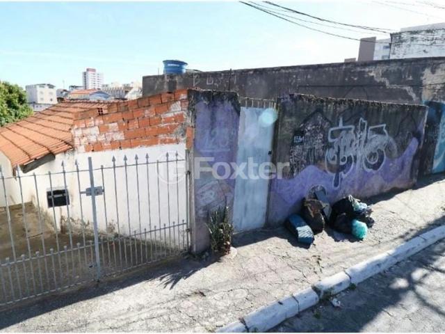 Terreno / Lote para Venda em São Paulo/SP Vila Celeste