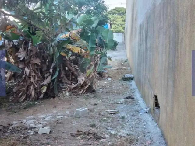 Terreno / Lote para Venda em São Paulo/SP Vila Matilde