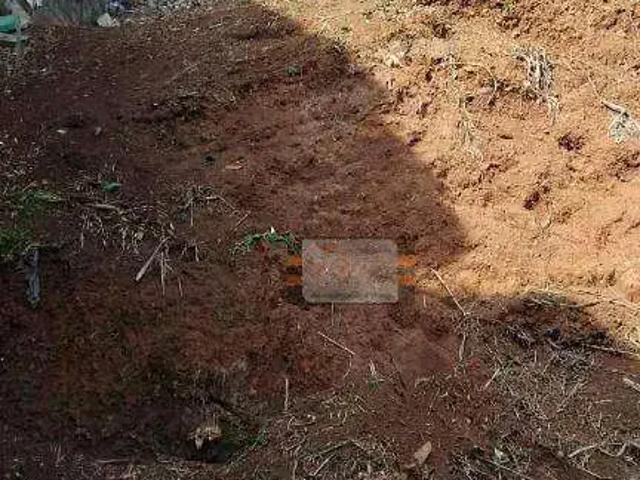 Terreno / Lote para Venda em São Paulo/SP Vila Chica Luisa