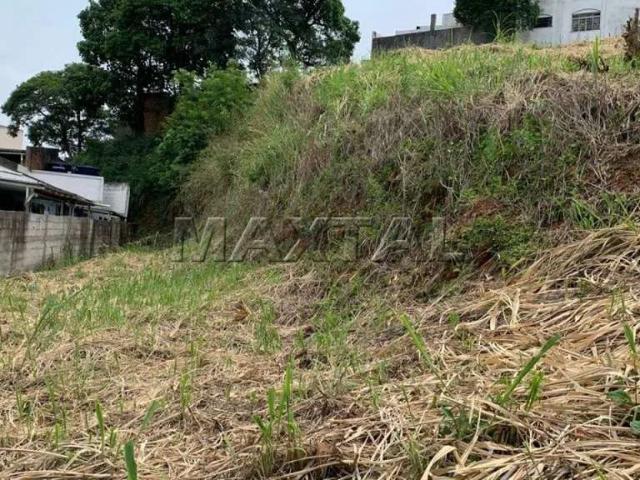 Terreno / Lote para Venda em São Paulo/SP Vila Clarice