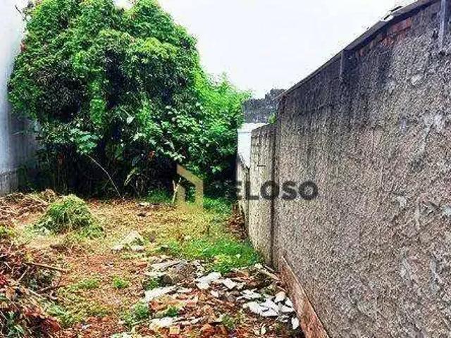 Terreno / Lote para Venda em São Paulo/SP Vila Constança