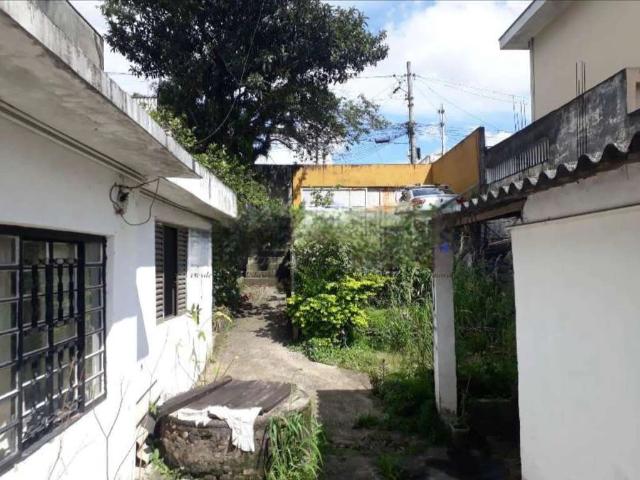 Terreno / Lote para Venda em São Paulo/SP Vila Constança
