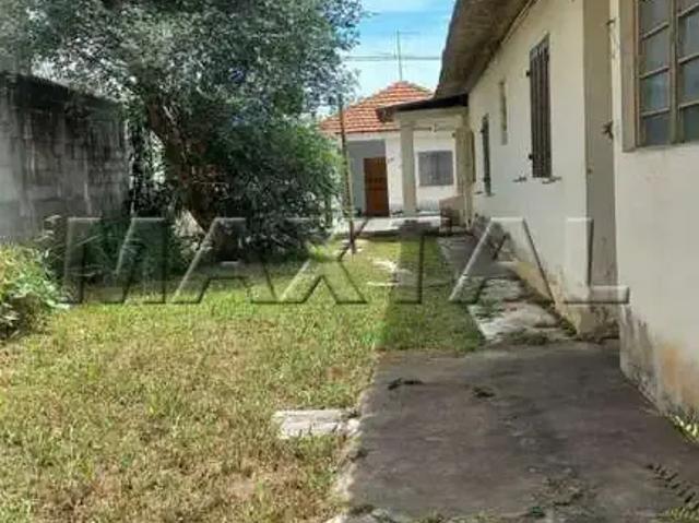 Terreno / Lote para Venda em São Paulo/SP Vila Constança