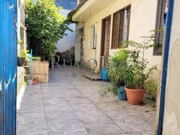 Terreno / Lote para Venda em São Paulo/SP Vila Constança