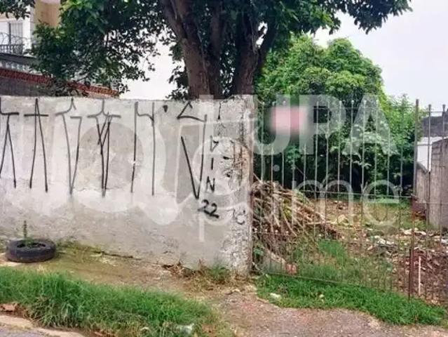 Terreno / Lote para Venda em São Paulo/SP Vila Constança