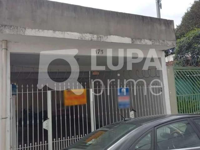 Terreno / Lote para Venda em São Paulo/SP Vila Constança