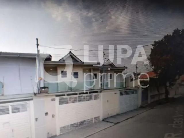 Terreno / Lote para Venda em São Paulo/SP Vila Constança