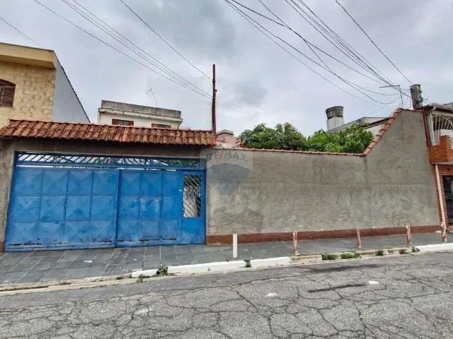 Terreno / Lote para Venda em São Paulo/SP Vila Constança