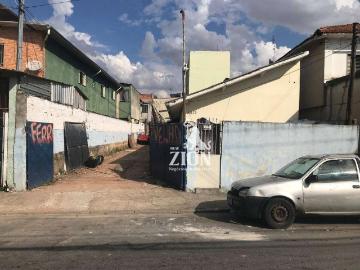 Terreno / Lote para Venda em São Paulo/SP Vila Constança