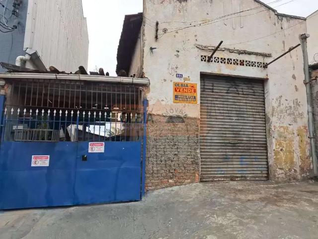 Terreno / Lote para Venda em São Paulo/SP Vila Constança