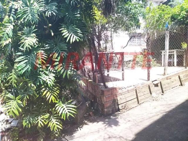 Terreno / Lote para Venda em São Paulo/SP Vila Constança