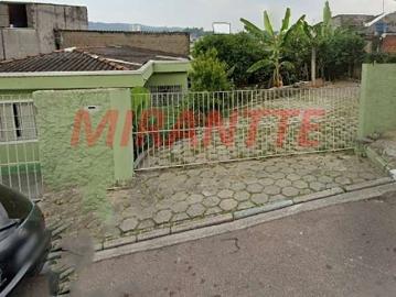 Terreno / Lote para Venda em São Paulo/SP Vila Continental