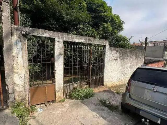 Terreno / Lote para Venda em São Paulo/SP Vila Cosmopolita