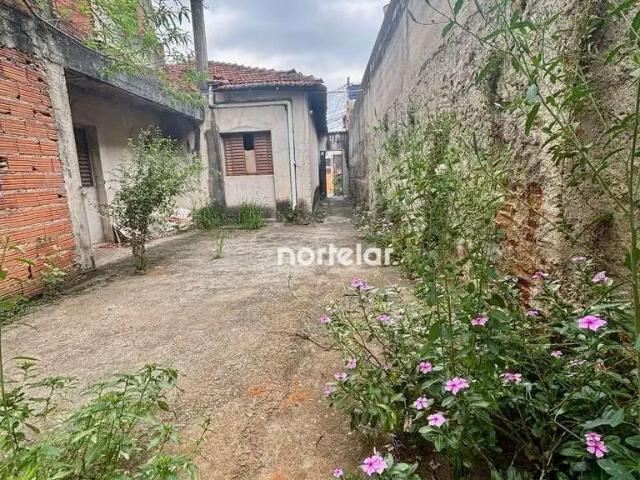 Terreno / Lote para Venda em São Paulo/SP Vila Cruz das Almas