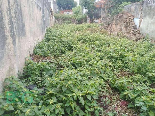 Terreno / Lote para Venda em São Paulo/SP Vila da Saúde
