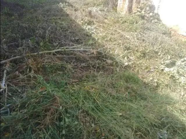 Terreno / Lote para Venda em São Paulo/SP Vila da Saúde