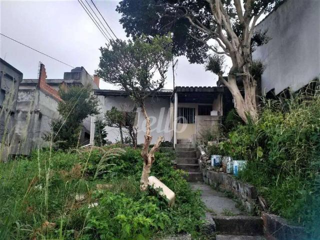 Terreno / Lote para Venda em São Paulo/SP Vila Dalila