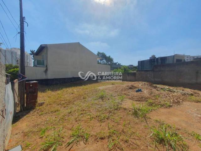 Terreno / Lote para Venda em São Paulo/SP Vila das Belezas