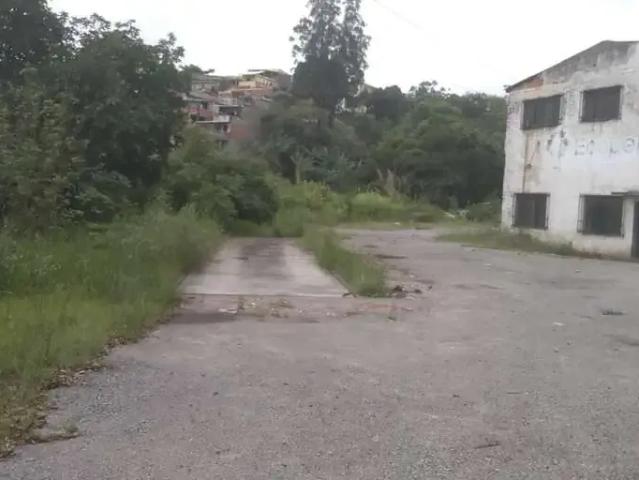 Terreno / Lote para Venda em São Paulo/SP Vila do Castelo