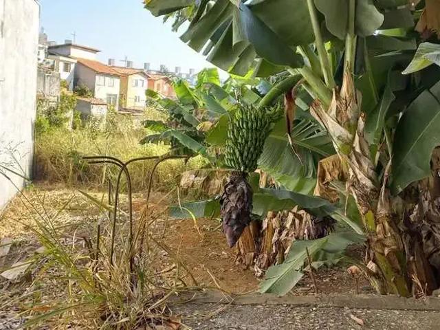 Terreno / Lote para Venda em São Paulo/SP Vila do Castelo