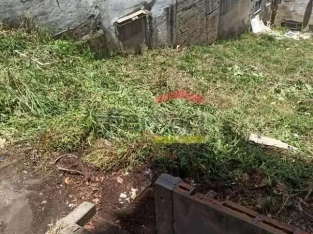 Terreno / Lote para Venda em São Paulo/SP Vila Dona Augusta