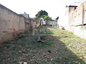 Terreno / Lote para Venda em São Paulo/SP Vila dos Andrades