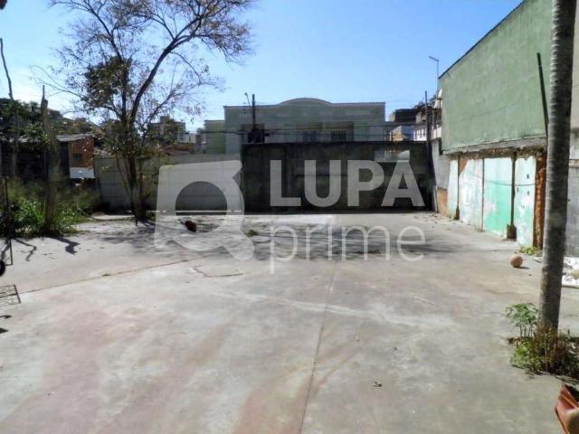 Terreno / Lote para Venda em São Paulo/SP Vila Ede