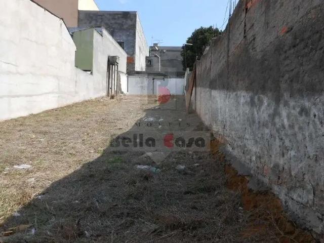 Terreno / Lote para Venda em São Paulo/SP Vila Ema