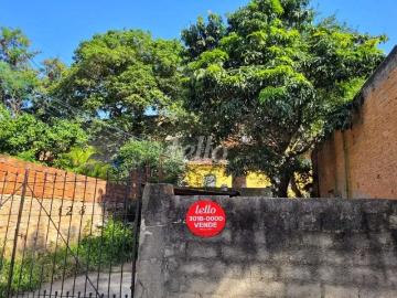 Terreno / Lote para Venda em São Paulo/SP Vila Ema