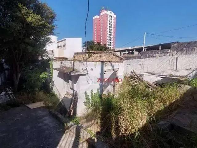 Terreno / Lote para Venda em São Paulo/SP Vila Esperança