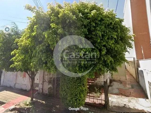 Terreno / Lote para Venda em São Paulo/SP Vila Formosa