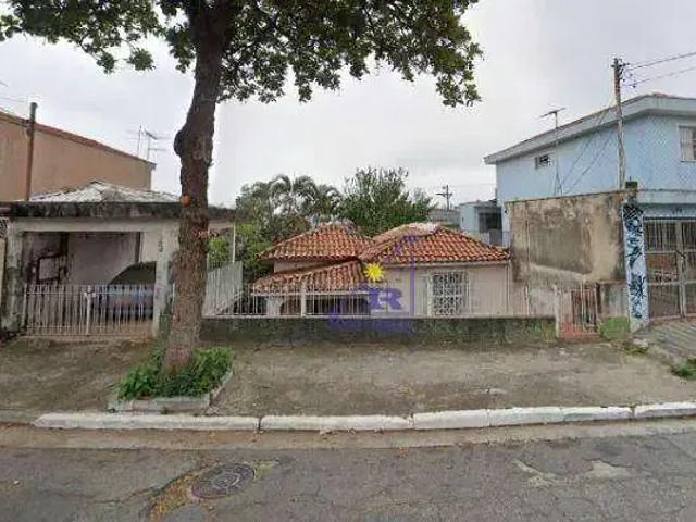 Terreno / Lote para Venda em São Paulo/SP Vila Formosa