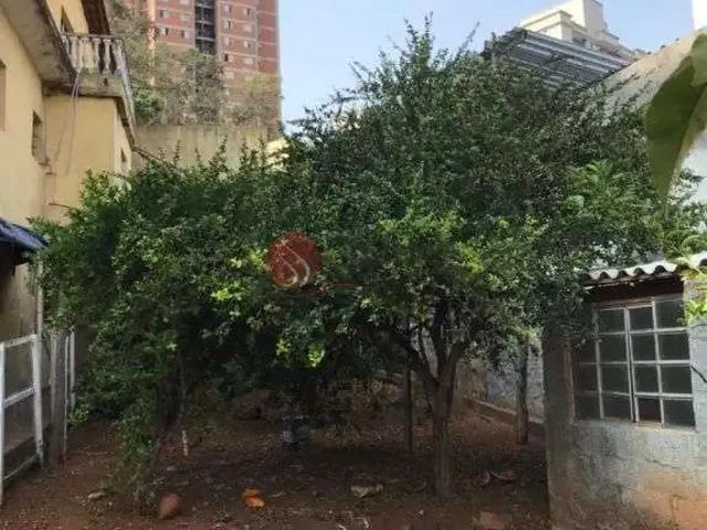 Terreno / Lote para Venda em São Paulo/SP Vila Formosa