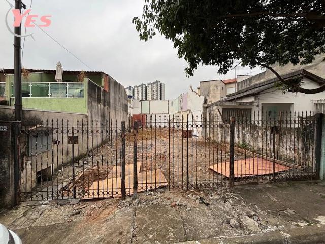 Terreno / Lote para Venda em São Paulo/SP Vila Formosa