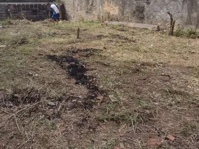 Terreno / Lote para Venda em São Paulo/SP Vila Formosa