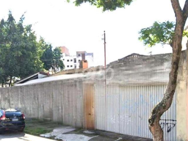 Terreno / Lote para Venda em São Paulo/SP Vila Formosa