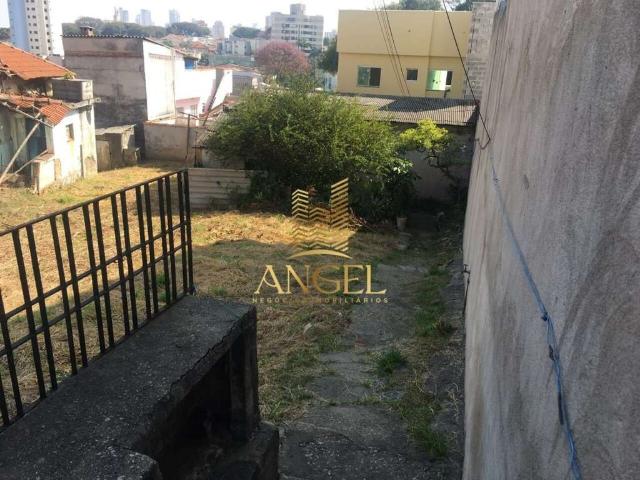 Terreno / Lote para Venda em São Paulo/SP Vila Formosa