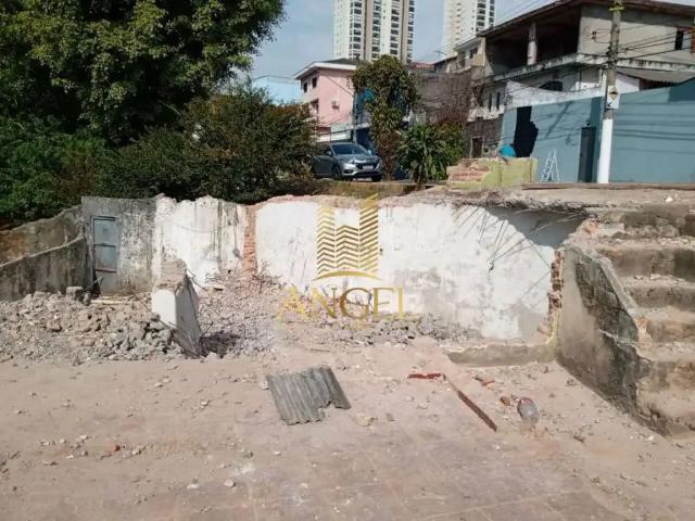 Terreno / Lote para Venda em São Paulo/SP Vila Formosa