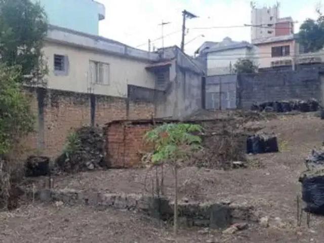 Terreno / Lote para Venda em São Paulo/SP Vila Formosa