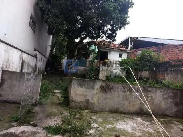 Terreno / Lote para Venda em São Paulo/SP Vila Formosa