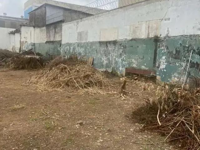 Terreno / Lote para Venda em São Paulo/SP Vila Formosa