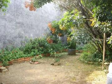 Terreno / Lote para Venda em São Paulo/SP Vila Formosa