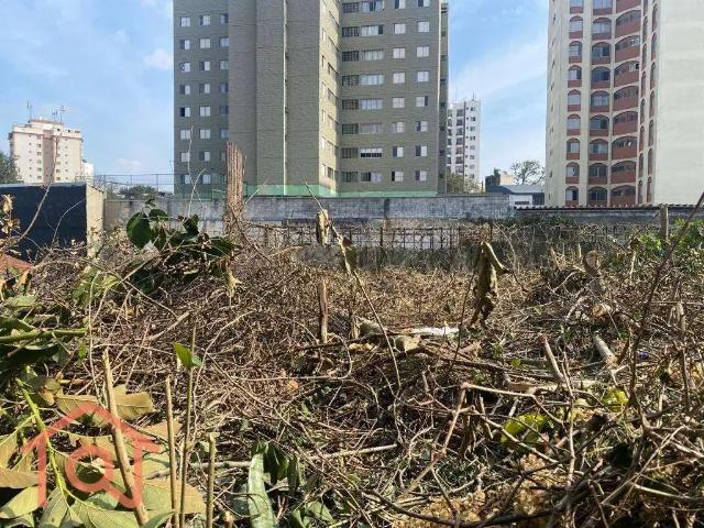 Terreno / Lote para Venda em São Paulo/SP Vila Guarani