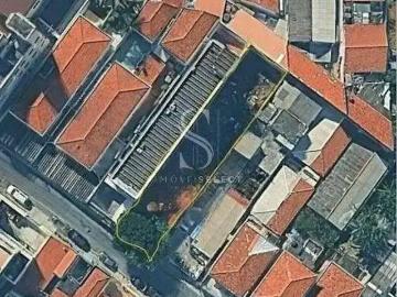 Terreno / Lote para Venda em São Paulo/SP Vila Guarani