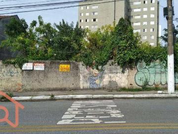 Terreno / Lote para Venda em São Paulo/SP Vila Guarani