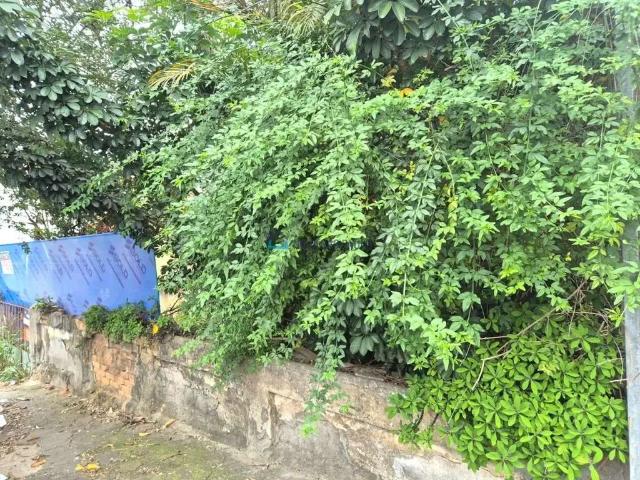 Terreno / Lote para Venda em São Paulo/SP Vila Guarani
