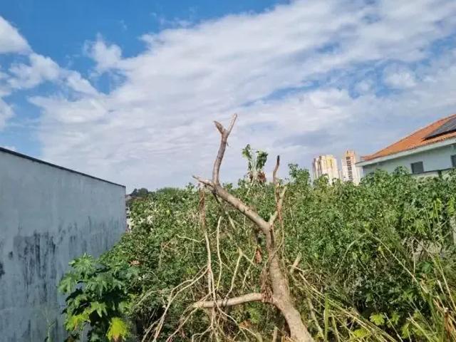 Terreno / Lote para Venda em São Paulo/SP Vila Guedes