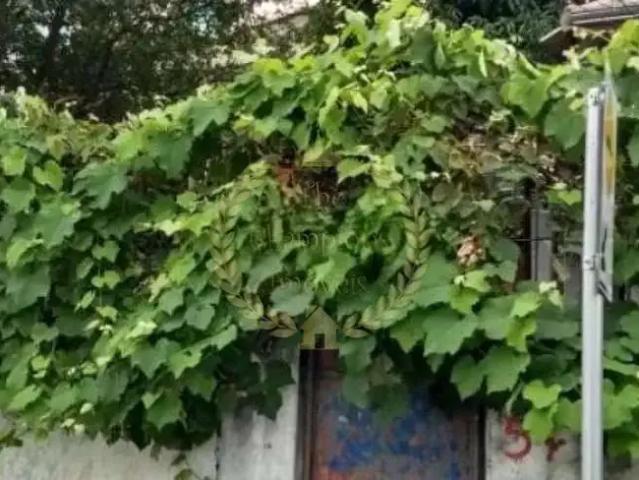 Terreno / Lote para Venda em São Paulo/SP Vila Guilherme